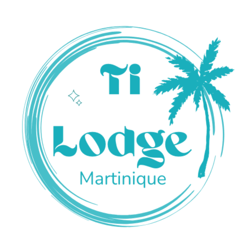 
Création de logo pour "Ti Lodge Martinique" : Un design représentant les Antilles, avec l'icône emblématique d'un cocotier, évoquant le charme tropical du lieu