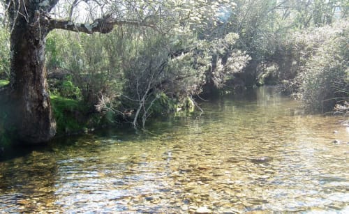 Río 