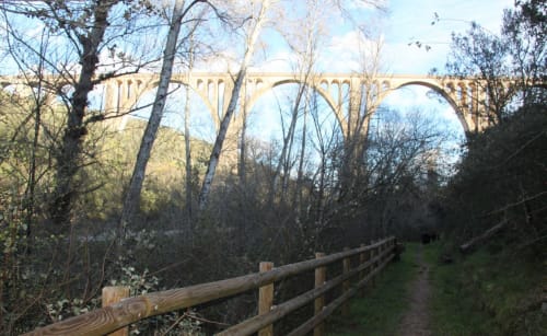 Camino natural