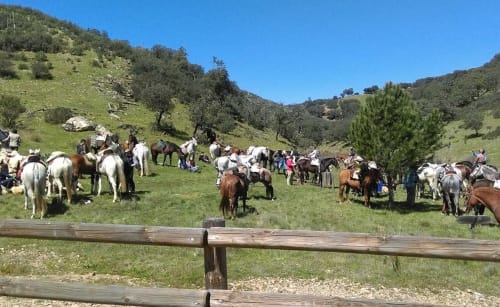 Rutas a caballo