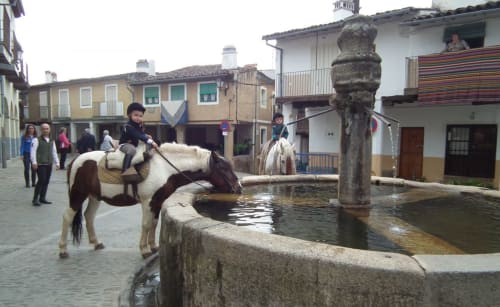 Rutas en pony