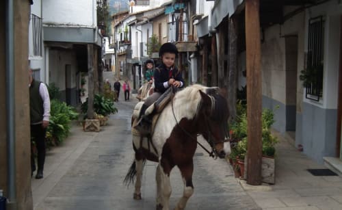 Ponys para niños