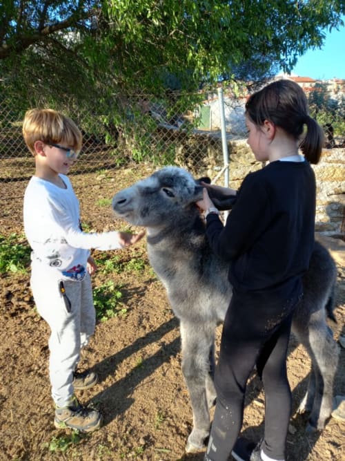 Casa rural con burros