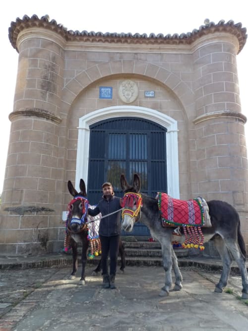 Paseo en burro