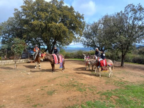 Recorrido en burro