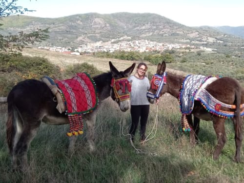 refugio burros