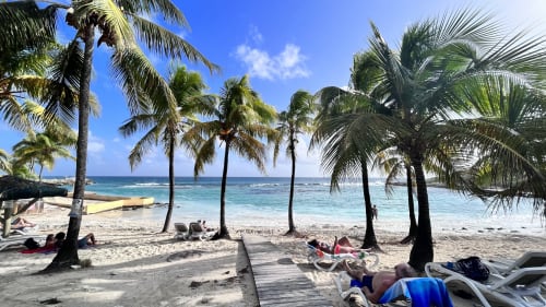 Palm-lined beach at Caribluewave Appartements in St-François, Guadeloupe with turquoise water and relaxing guests
