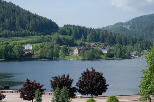 Vue panoramique sur le lac de Gérardmer depuis le gîte La Mielerie du Lac