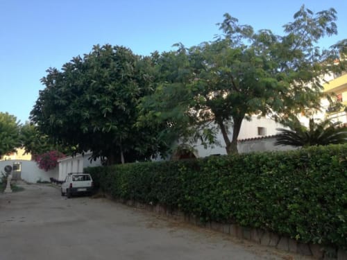 Ingresso di Zia Amalia Villa Asfodelo ad Alghero con lussureggianti giardini, alberi maestosi e architettura mediterranea dalle pareti bianche