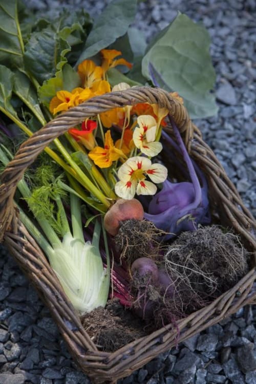 organic food kilmokea gardens
