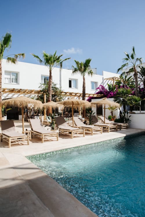 palms palm pool sunbeds cocktails  La Bohemia del rio, Ibiza boutique hotel