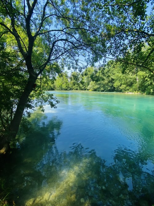 lac