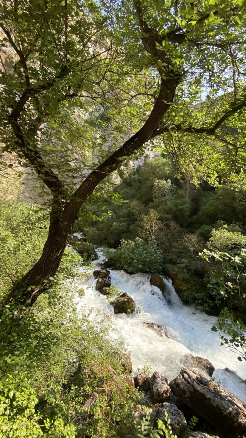 fontaine de vaucluse à proximité du mas des olivades