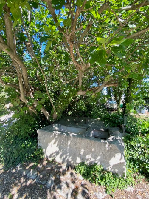 puit en pierre dans le jardin du mas des olivades