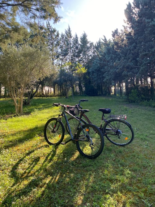 deux vélos dans le jardin à disposition lors de votre séjour au mas des olivades