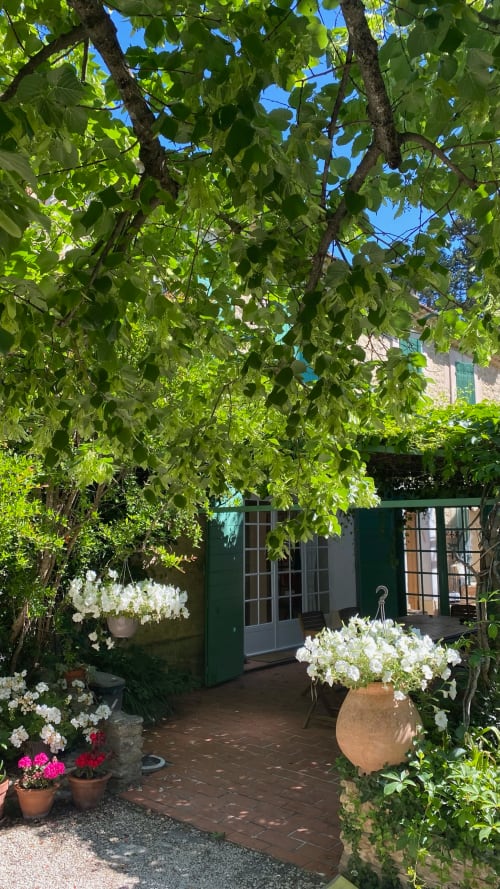 jardin terrasse arborés et véranda au mas des olivades