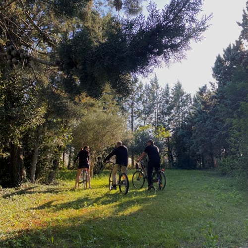 sortie à vélo en pleine verdure autour du mas des olivades à pernes les fontaines en provence