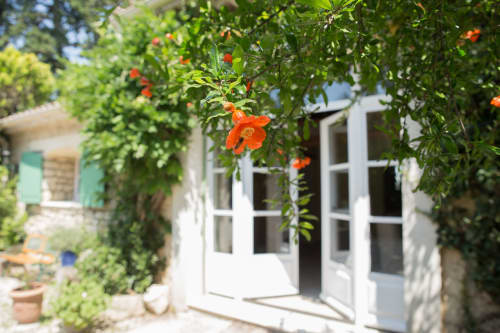 Gros plan sur des fleurs orange éclatantes devant une porte d'entrée au Mas des Olivades, une villa à Pernes-les-Fontaines, en Provence, France, entourée de verdure.