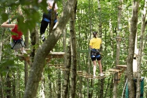 Des visiteurs profitent d'une tyrolienne en canopée parmi les grands arbres du parc aventure Le Gîte du Miroir à Domérat