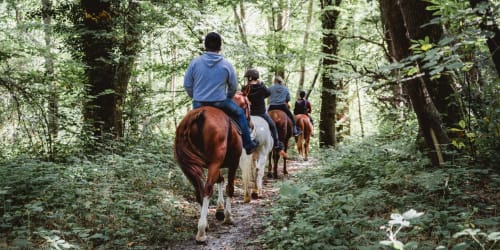 Randonnée équestre en groupe sur les sentiers forestiers près du Gîte du Miroir, Domérat