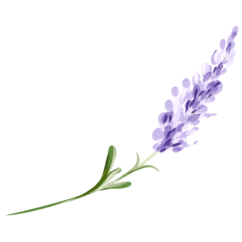 icône de lavande représente le mas des olivades en provence dans le sud de la france 