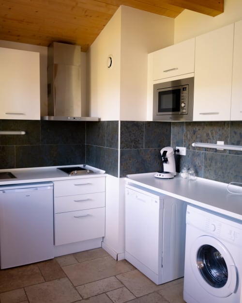 Cuisine en pierre toute équipée : lave-vaisselle, lave-linge, machine à café, micro-ondes, frigidaire et plaque à induction