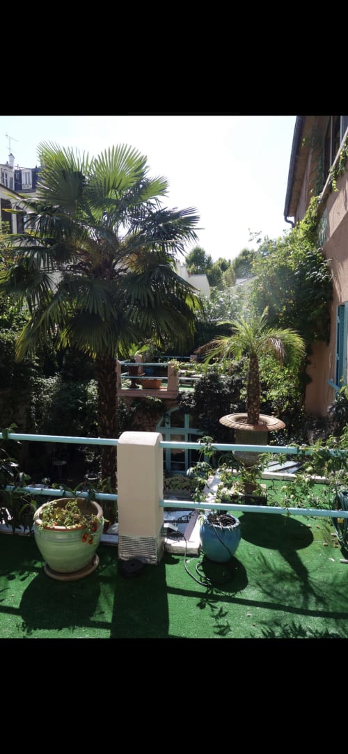 Terrasse verdoyante de la Maison 1850 Paris avec palmiers, végétation luxuriante et espace détente en plein air