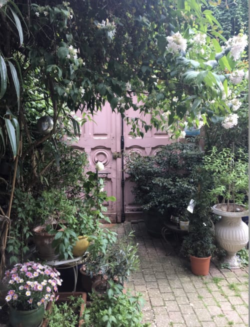 Jardin luxuriant de la cour intérieure de Maison 1850 Paris avec portes roses, vignes fleuries et plantes en pot