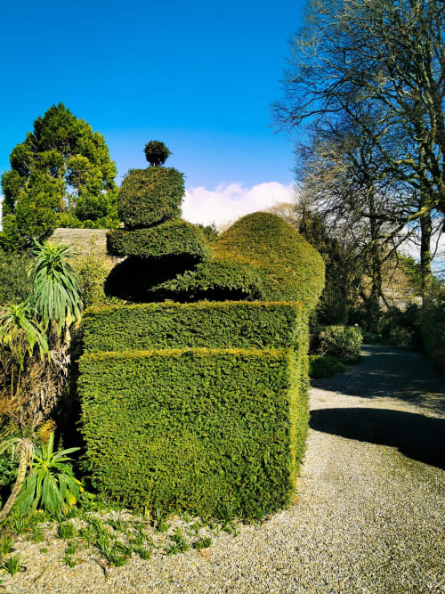 peacock topiary kilmokea gardens