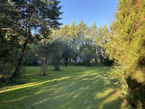 grand jardin du mas avec belle pelouse tondue et des arbres