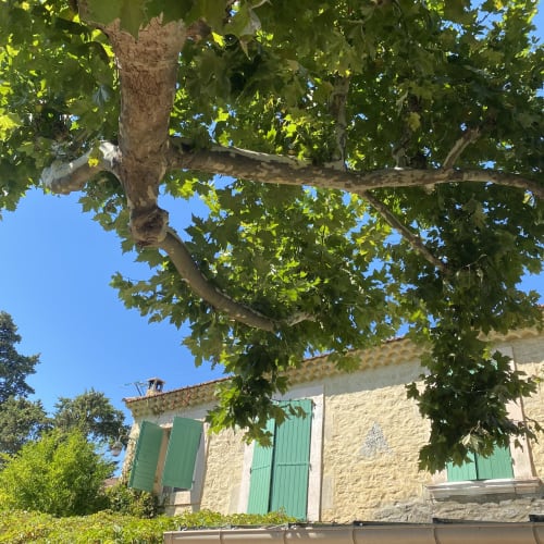 murs du mas avec ses volets verts caractéristiques 