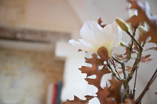 Fleur de magnolia blanc avec feuilles brunes à la Villa République Normandie à Caen, France