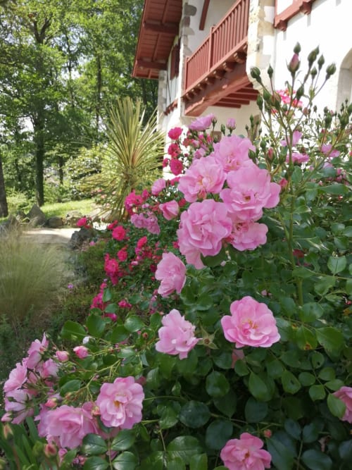 Le jardin de la Villa Xaran Erdian