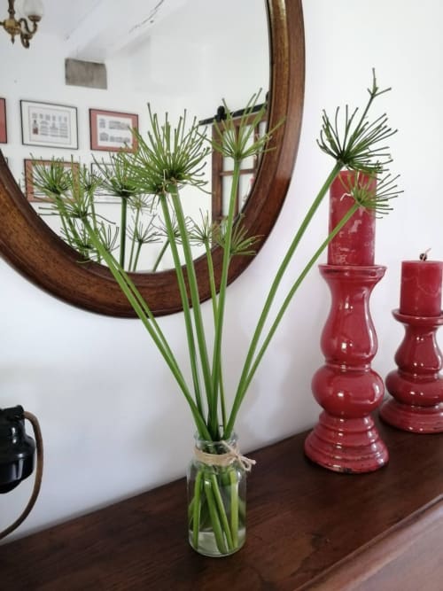 Suite Muxu Chambre d'hôtes Villa Xaran Erdian
