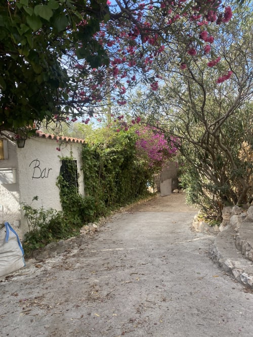 Encantador sendero del jardín en la villa BondBeach Village de Altafulla, con flores rosas en flor y paredes cubiertas de hiedra
