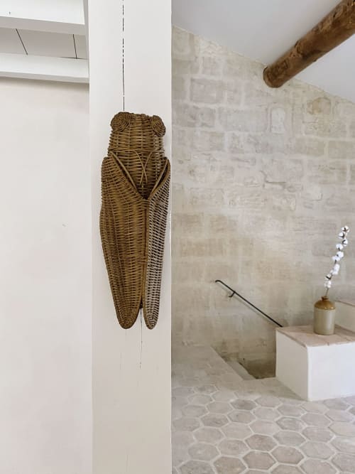 Cigale rotin osier cigales fait-main artisanat du sud l'atelier du Puisatier La Maison du Puisatier