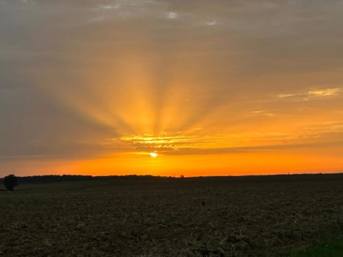 Golden sunset over rural fields near La Ferme du Châtaignier gîte in Essonne