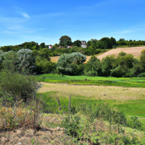 Image d'une balade à vélo dans la campagne de Boissy le Sec