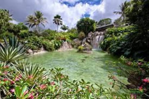 Lagon tropical aux eaux turquoise, végétation luxuriante et cascade à la guest-house Kaz A Bibi à Sainte-Rose, Guadeloupe