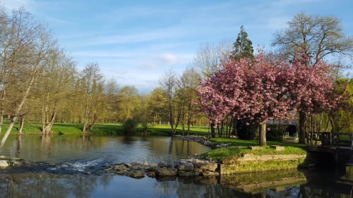 le Moulin de Bacchus chambres d'hôtes rivière
