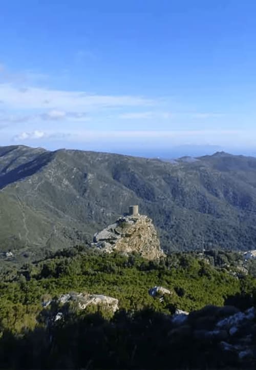 Tour médiévale perchée au sommet d'une montagne rocheuse entourée de forêts à Centuri, Corse