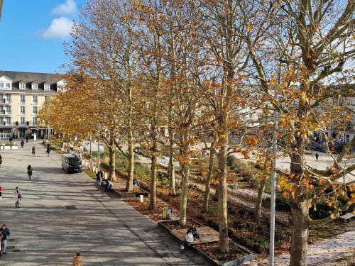 Cour automnale de la Villa République Normandie à Caen avec arbres dénudés, esplanade pavée et bâtiments historiques