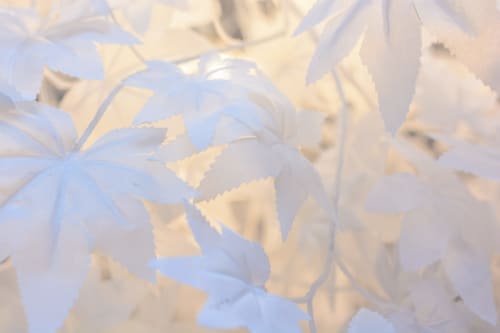 Détail des luminaires en forme de feuilles d'arbres blanches.