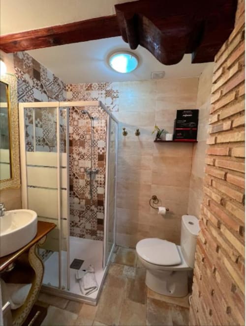 Modern bathroom in Suite B at Complejo Turístico Retiro del Teatro, Almagro, featuring glass shower, toilet, sink and brick