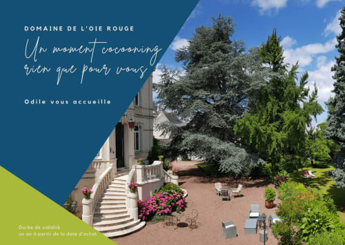 Domaine de l'Oie Rouge terrace with stone stairs, pink flowers, and manicured gardens in Gennes-Val-de-Loire