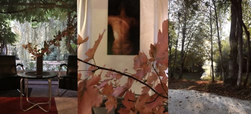 Domaine de l'Ocrerie BnB à Pourrain avec feuillage automnal, intérieurs élégants et allées forestières bordées d'arbres