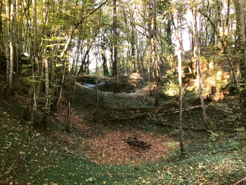 Forested woodland path at Domaine de l'Ocrerie, a serene Pourrain bed and breakfast retreat