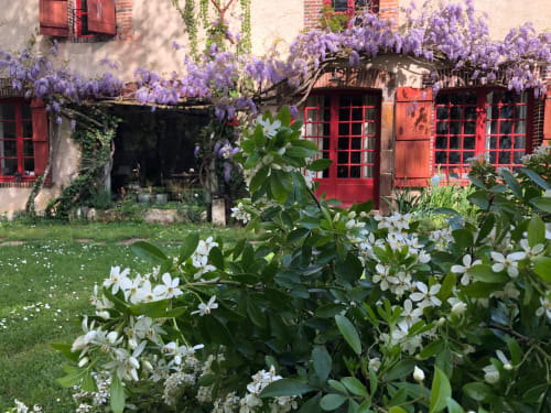 Glicinas florecientes y flores blancas en Domaine de l'Ocrerie, un encantador alojamiento rural en Pourrain con persianas rojo herrumbroso
