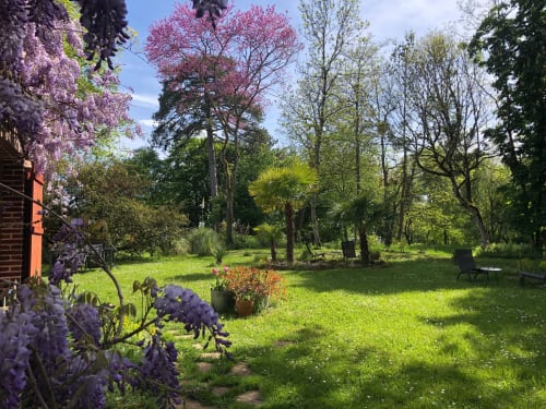 Springtime garden at Domaine de l'Ocrerie B&B in Pourrain with blooming wisteria, flowering trees, and lush green lawn