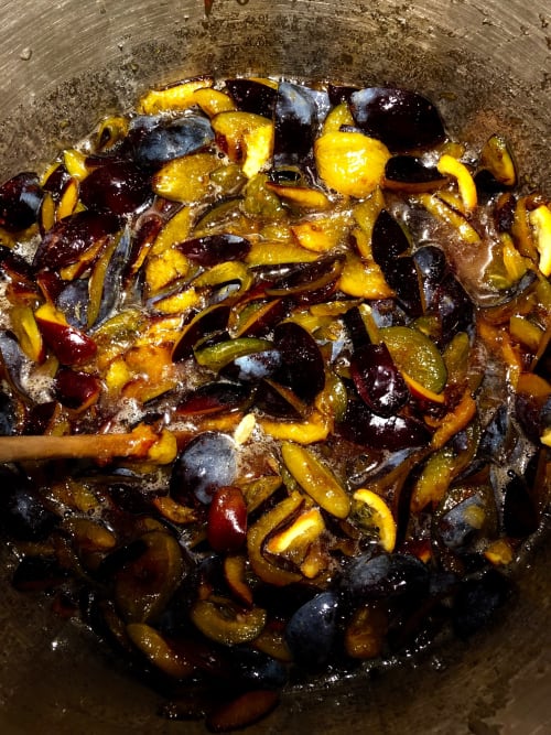 Champignons et légumes sautés au wok au Domaine de l'Ocrerie, Pourrain, France